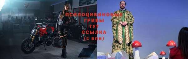 твердый Карпинск