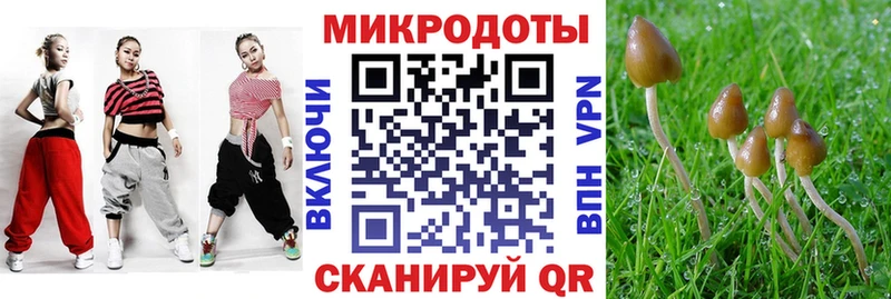 Галлюциногенные грибы прущие грибы  darknet формула  Игра 